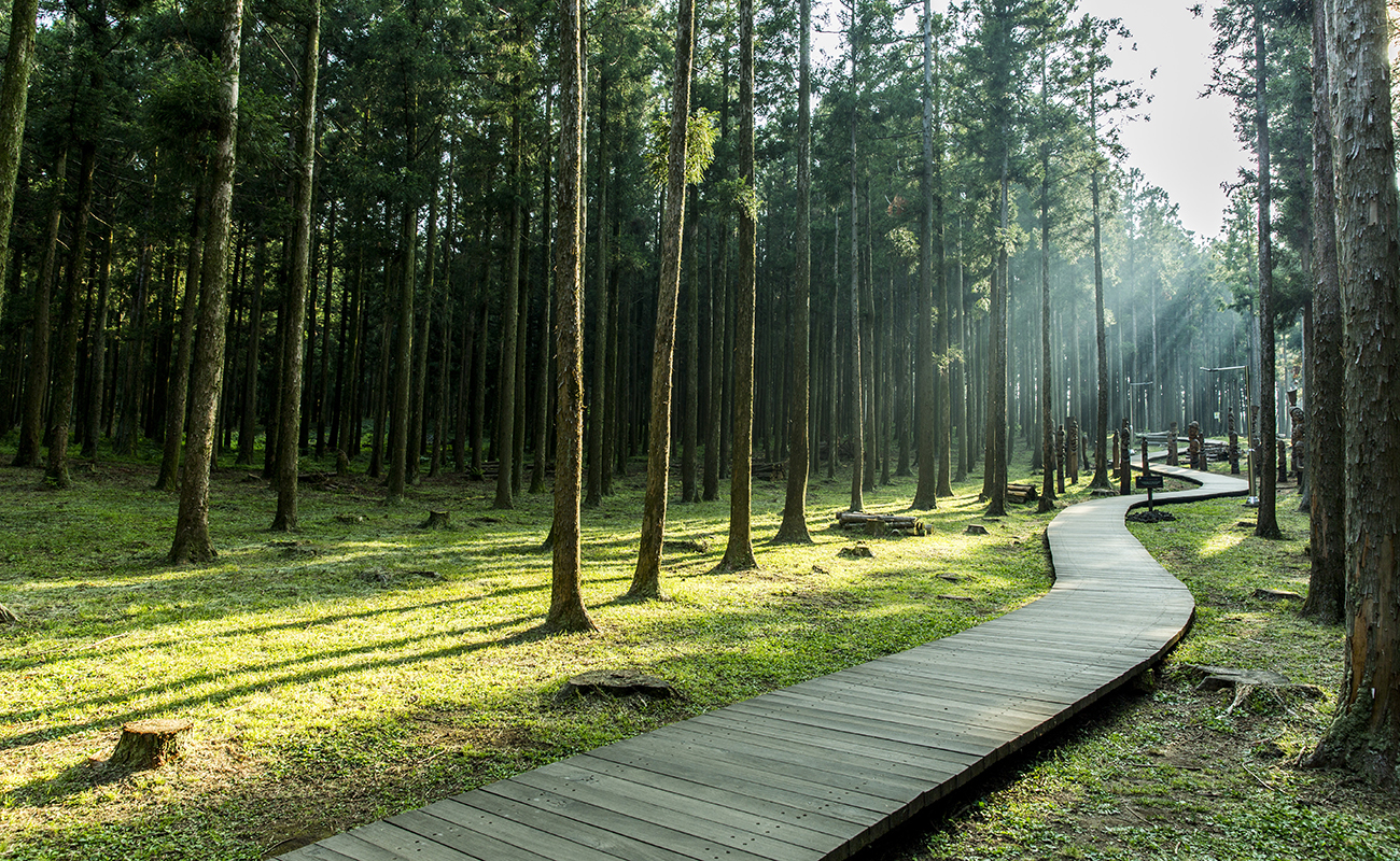 도심 속 힐링 라이프 